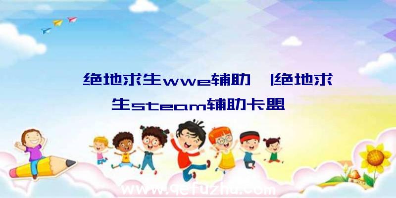 「绝地求生wwe辅助」|绝地求生steam辅助卡盟